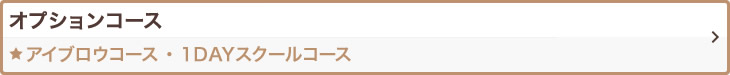 オプションコース アイブロウコース 1DAYスクールコース